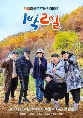 我们仨的夏天青春剧全集在线观看